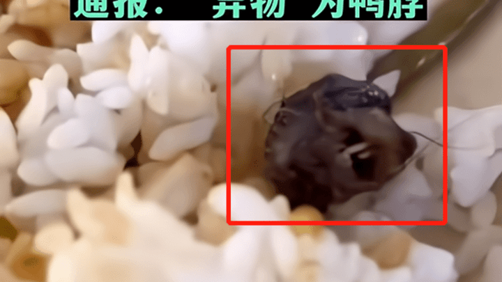 高校饭菜中吃出异物,送检确认是鸭脖,你觉得是鸭脖吗?