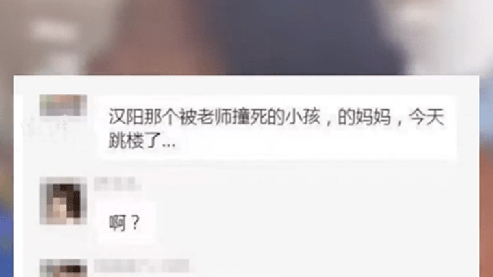 武汉校内被撞身亡小学生母亲坠楼身亡，你怎么看？